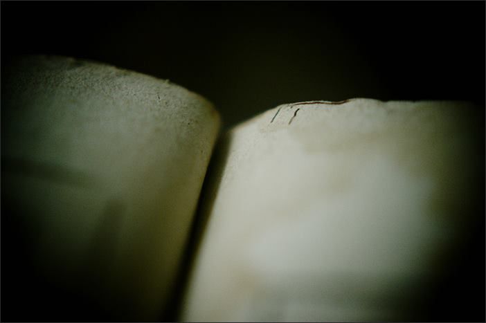 Neumas - Fotografia