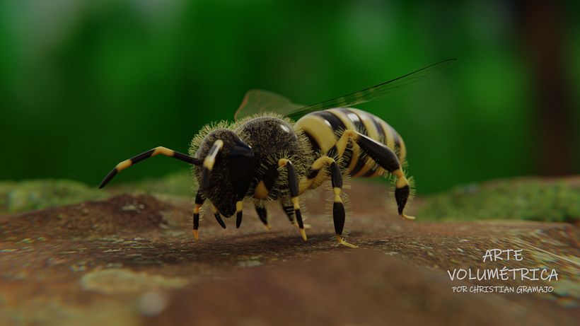 GENERALISTA 3D GALERIA 0