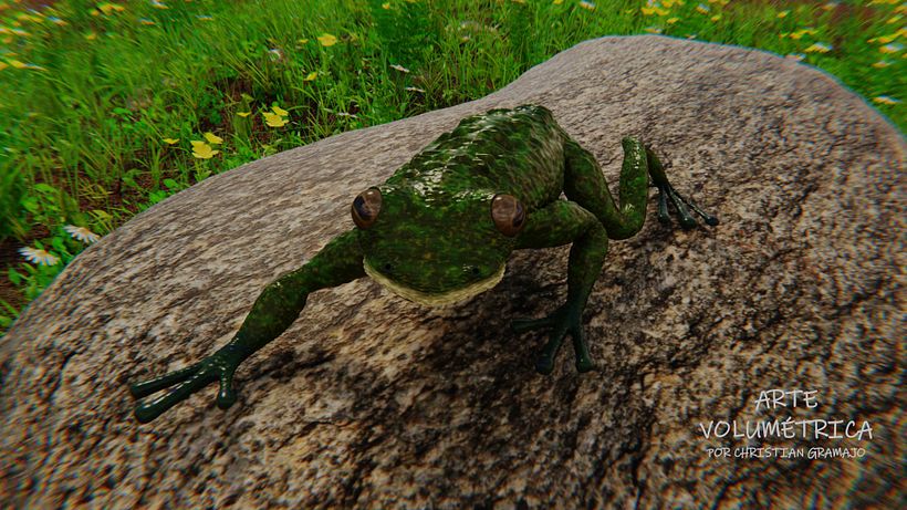 GENERALISTA 3D GALERIA 6