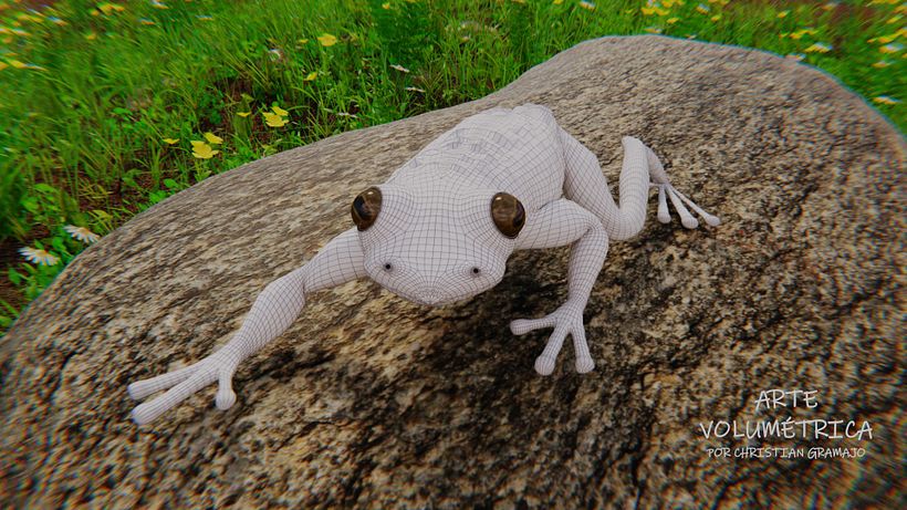 GENERALISTA 3D GALERIA 7