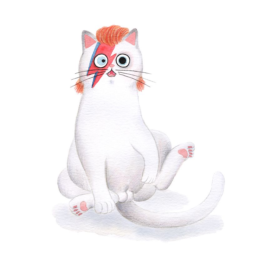 Gaticos 6