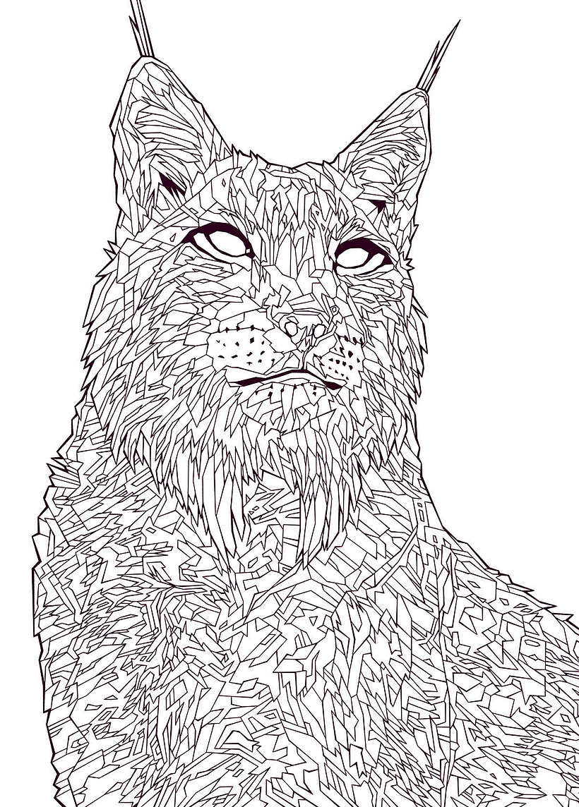 HURRICANE/SOUTHSIDE Fest. '18 5