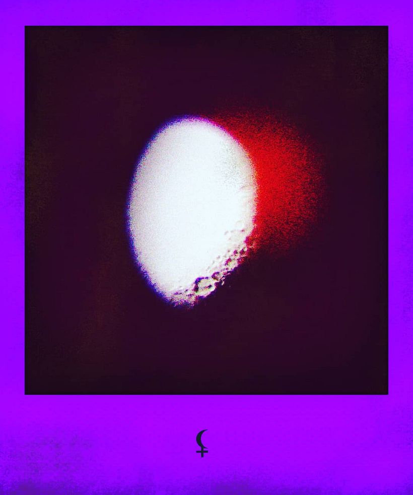 Destructive Poetry 5