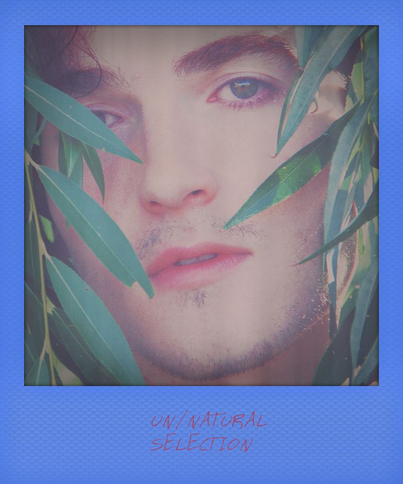 Destructive Poetry 8