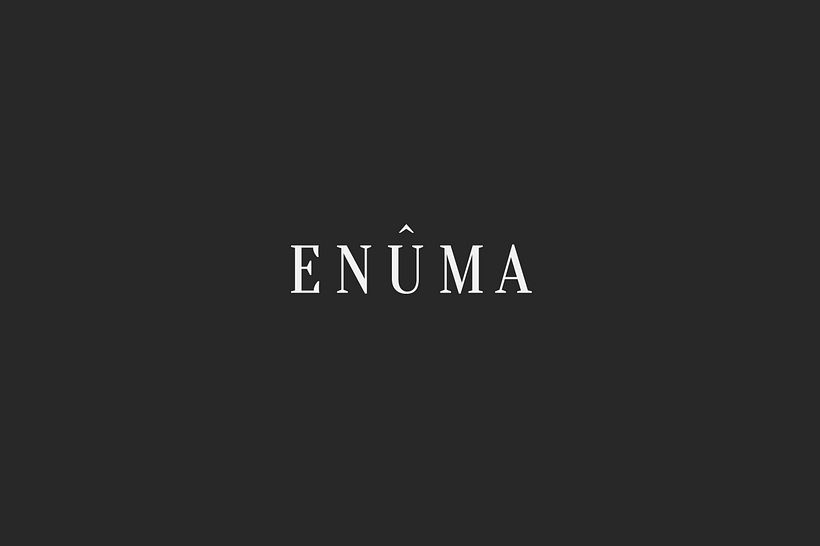 LogoFolio / ID visuales  11