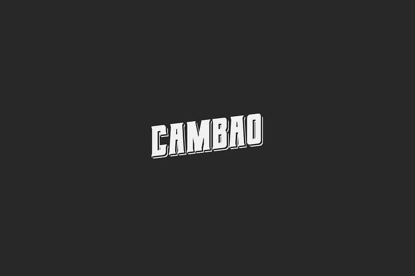 LogoFolio / ID visuales  15