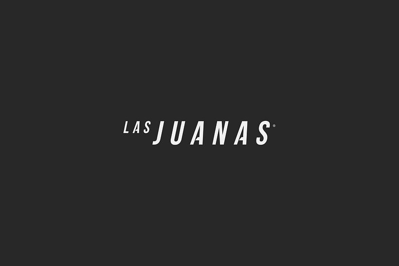 LogoFolio / ID visuales  33