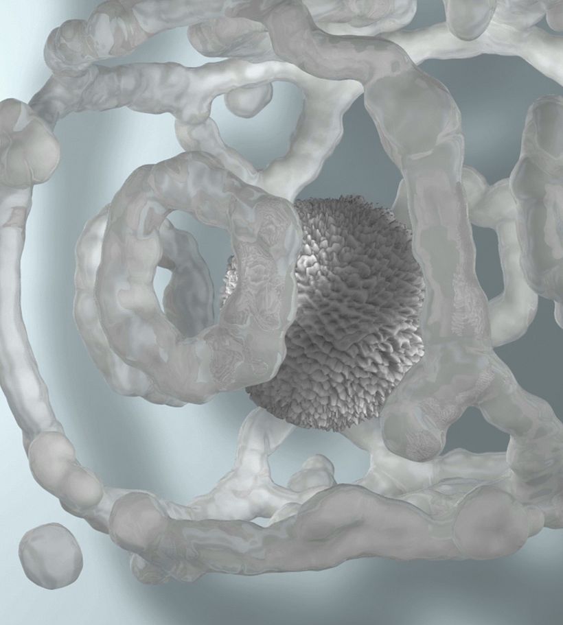 Hola a tod@s, mi nombre es Julio y soy animador 3d en proyecto. Aquí os dejo algunos trabajos que tengo en Instagram y Vimeo. Espero aprender mucho en este magnífico curso.  Instagram: loto_visual_arts // Vimeo: LotoVisualArts 0