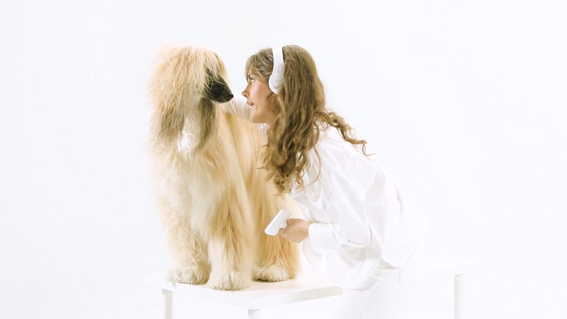 Don´t Leave It Halfway 2