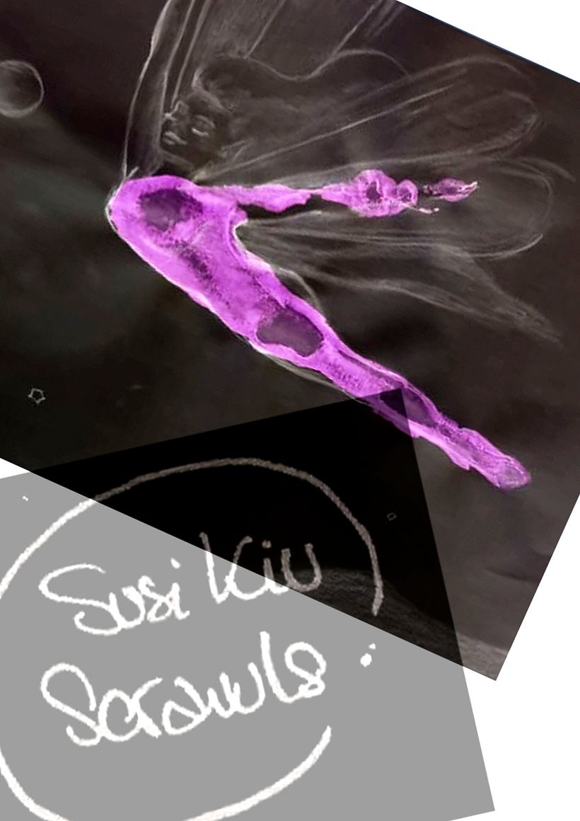 Logotipo propio - Identidad corporativa 4