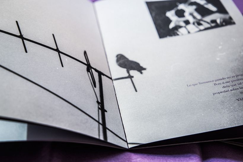FANZINE – RELATOS DE SOCIEDAD 6
