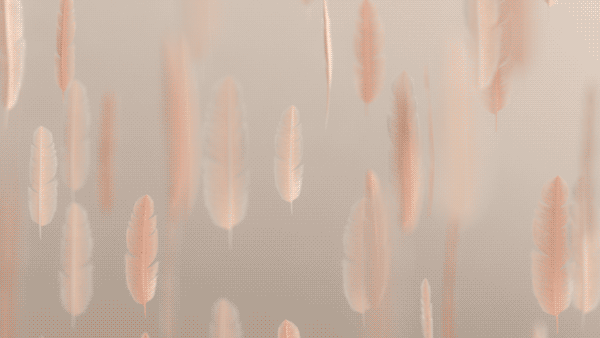 Brief Festival 2018 8