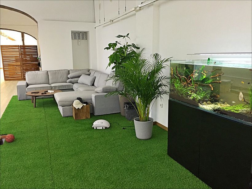 Mesa libre para 6 en coworking Barcelona 4