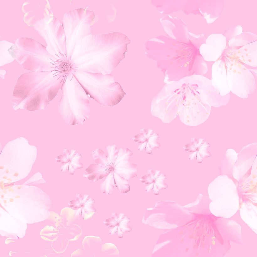 Mi Proyecto del curso: Diseño de estampados textiles  0