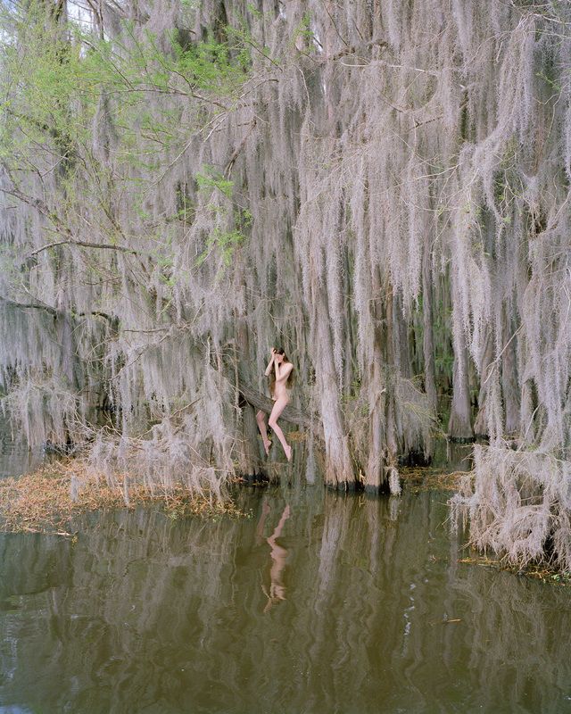 Synchrodogs: el paisaje es mi vestido 1