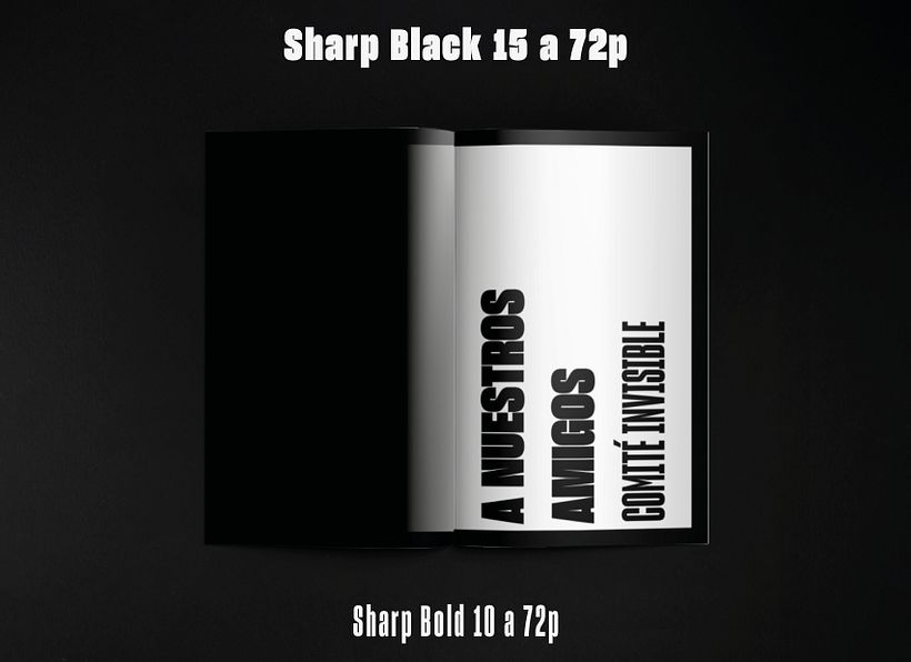 Biblioteca Zeitgeist  12