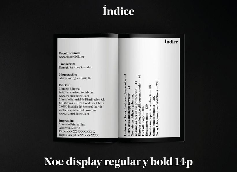 Biblioteca Zeitgeist  13