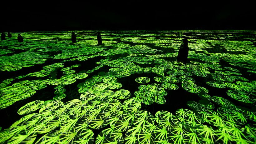 Las fronteras entre arte y visitante se desdibujan en 'Borderless' 15