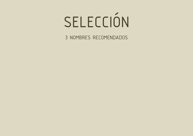 NAMING APP CONSTRUCCIÓN 9