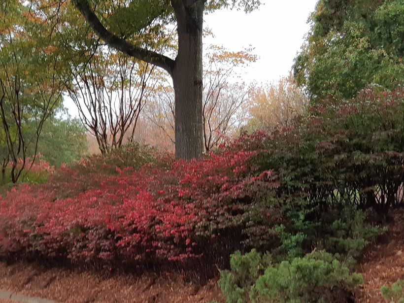 Seccion de Fotos de paisajes naturales 0