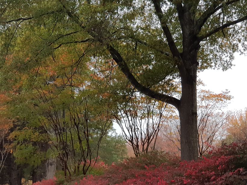 Seccion de Fotos de paisajes naturales 1