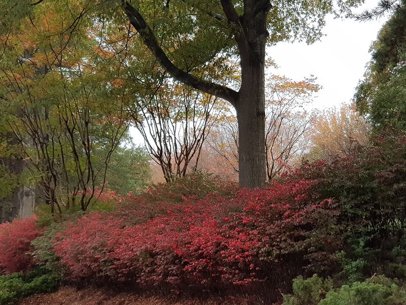 Seccion de Fotos de paisajes naturales 2