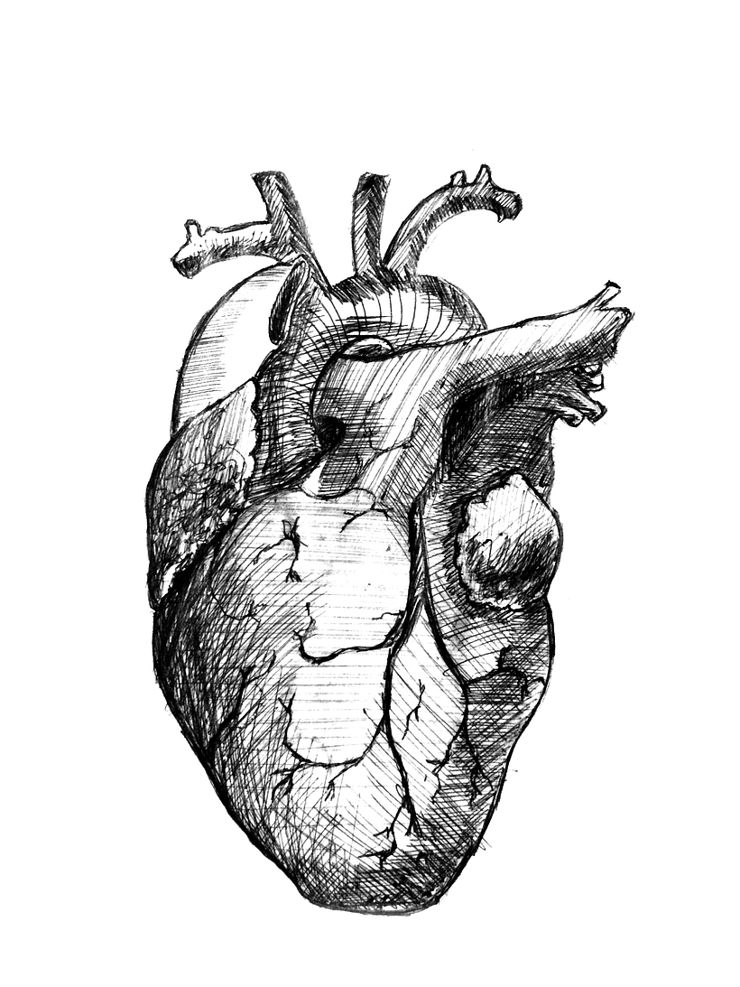 Corazón de la pluma a la pantalla 0