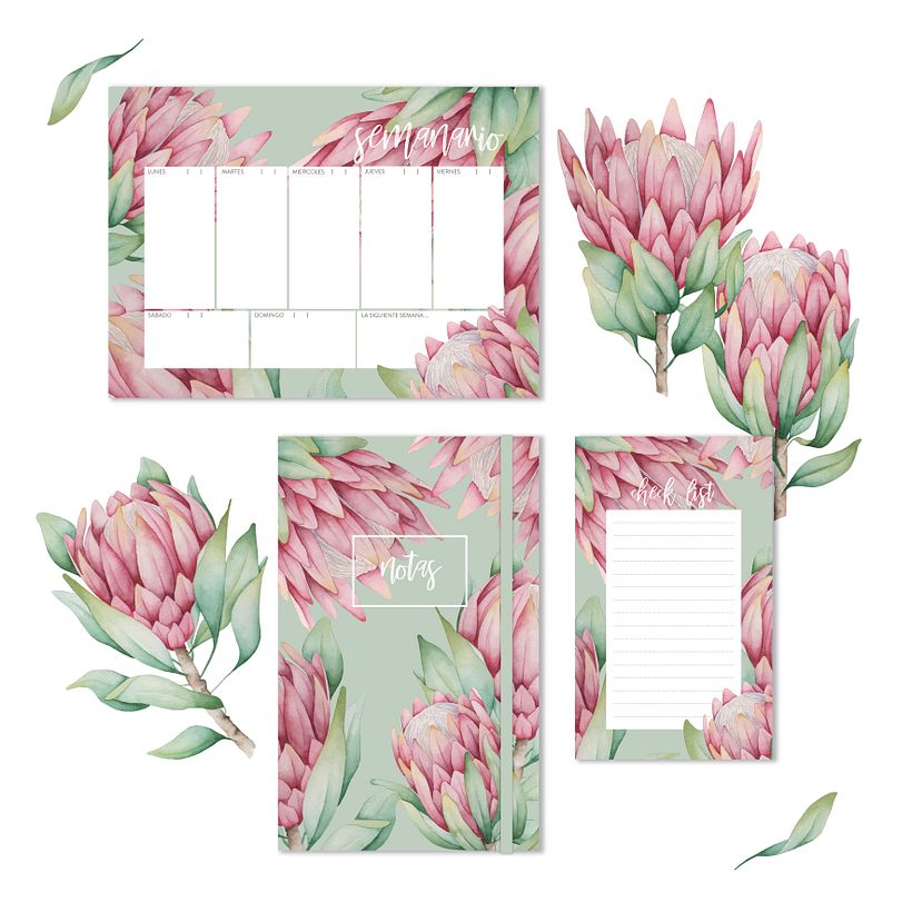 PROYECTO PARA EL CURSO DE PAULA MACIEL 0