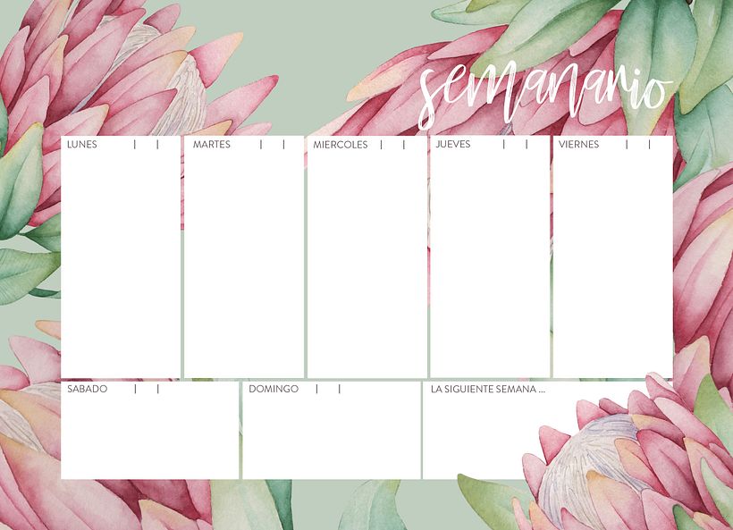 PROYECTO PARA EL CURSO DE PAULA MACIEL 1