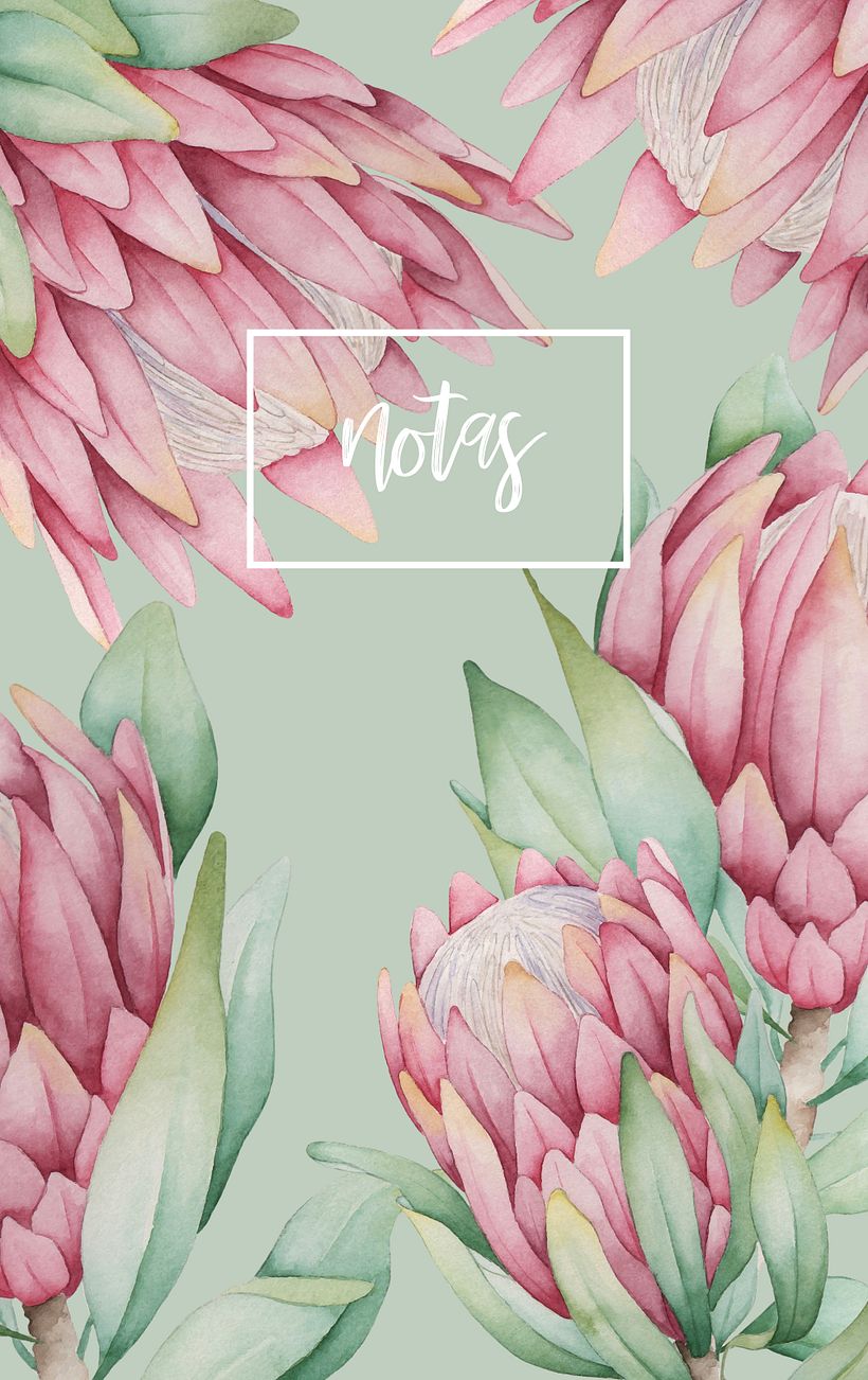 PROYECTO PARA EL CURSO DE PAULA MACIEL 2