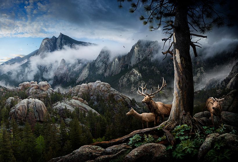 Nick Pedersen hace magia hiperrealista con Photoshop 1