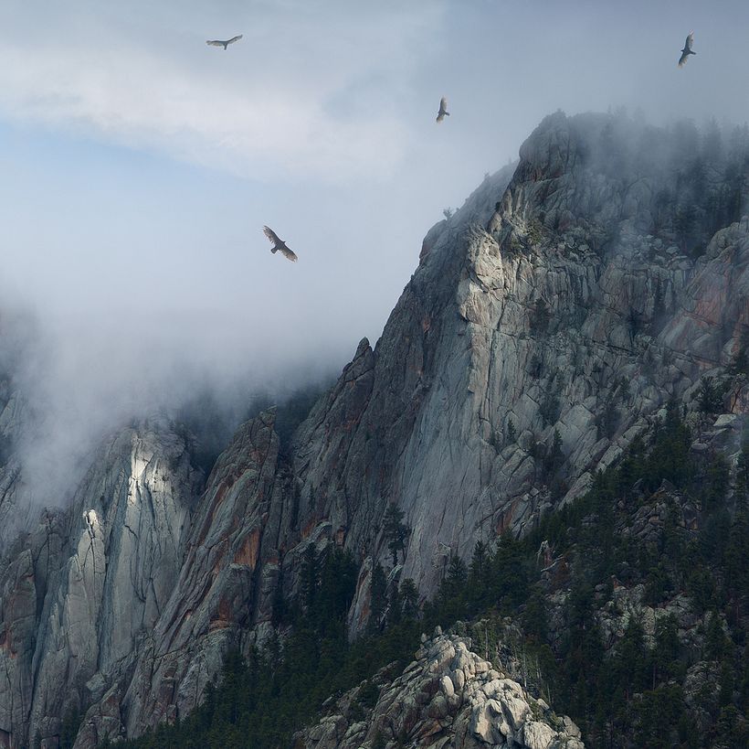 Nick Pedersen hace magia hiperrealista con Photoshop 4