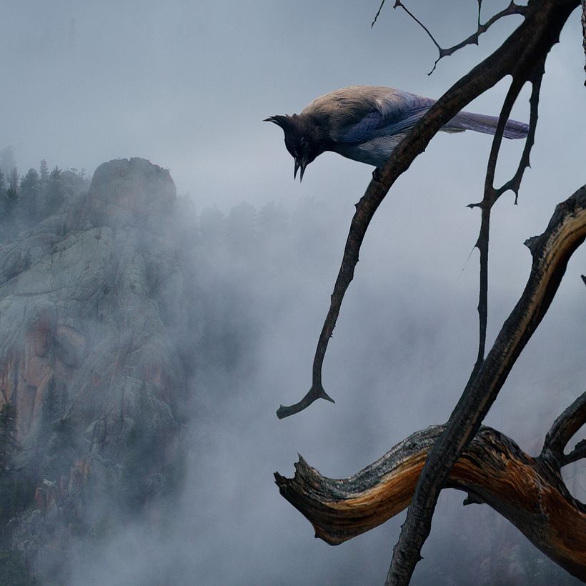 Nick Pedersen hace magia hiperrealista con Photoshop 6