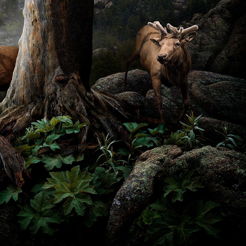 Nick Pedersen hace magia hiperrealista con Photoshop 8