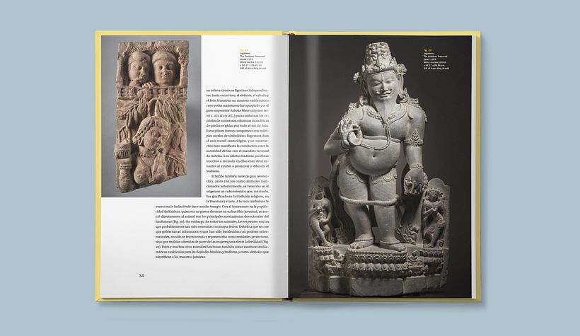 El universo de la India 8