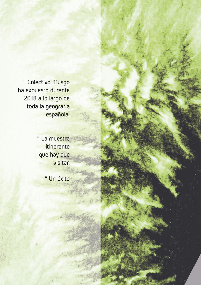 Dossier Espacios Expositivos -// Colectivo Musgo 11