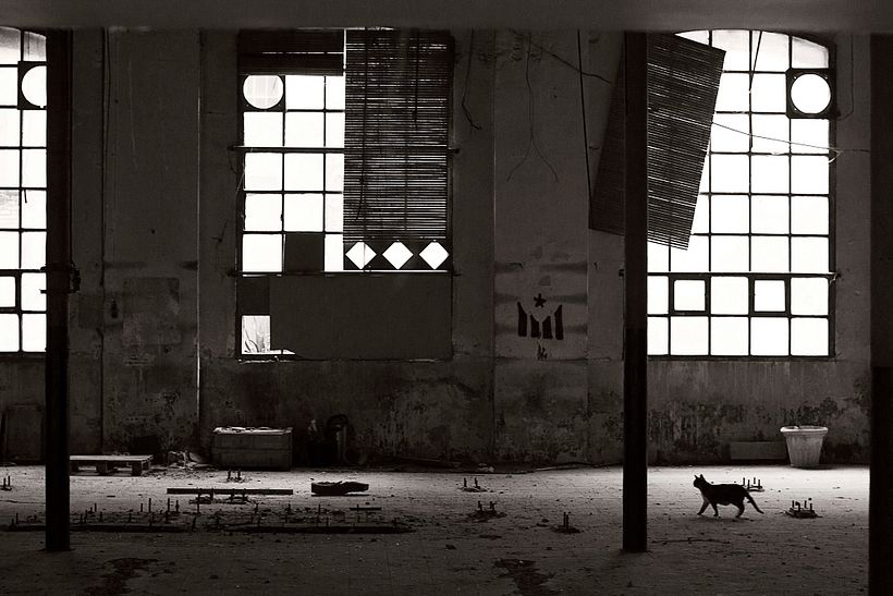 Fotografía II 0