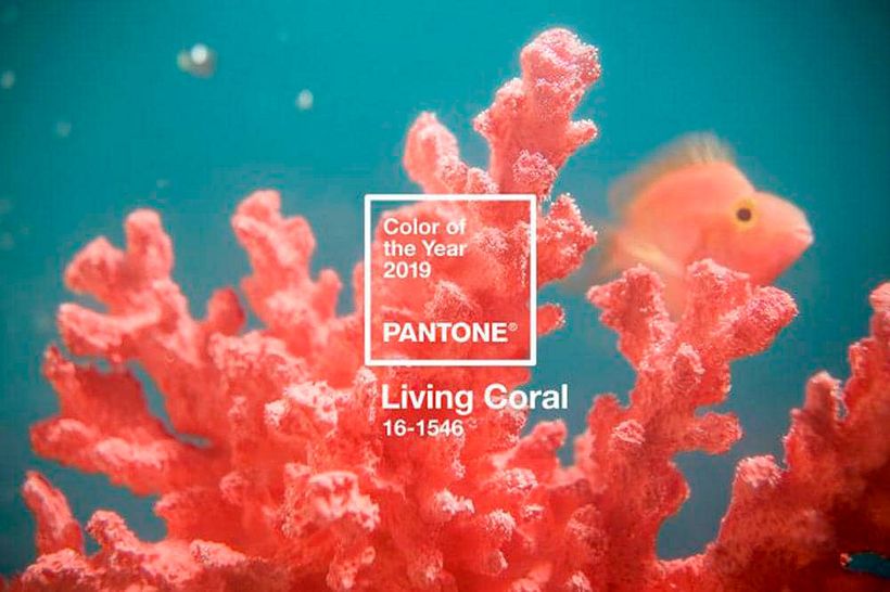Y el color del año 2019 para Pantone es... 1