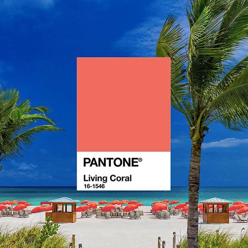 Y el color del año 2019 para Pantone es... 5