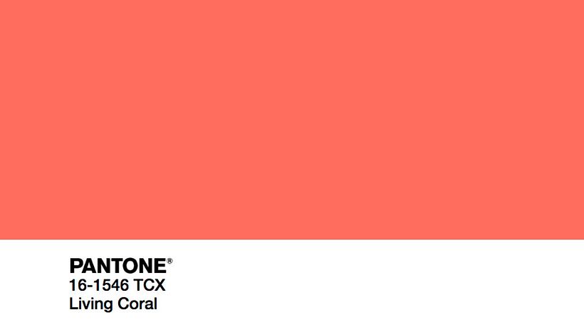 Y el color del año 2019 para Pantone es... 3