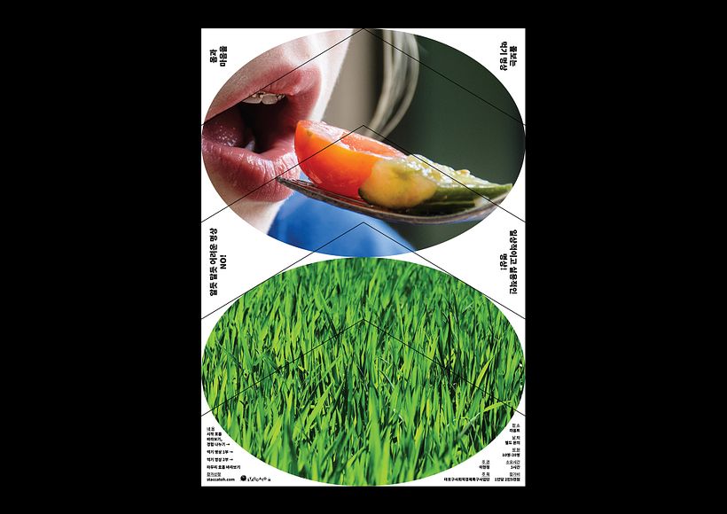 Pa-i-ka, el estudio coreano enamorado del caos 5