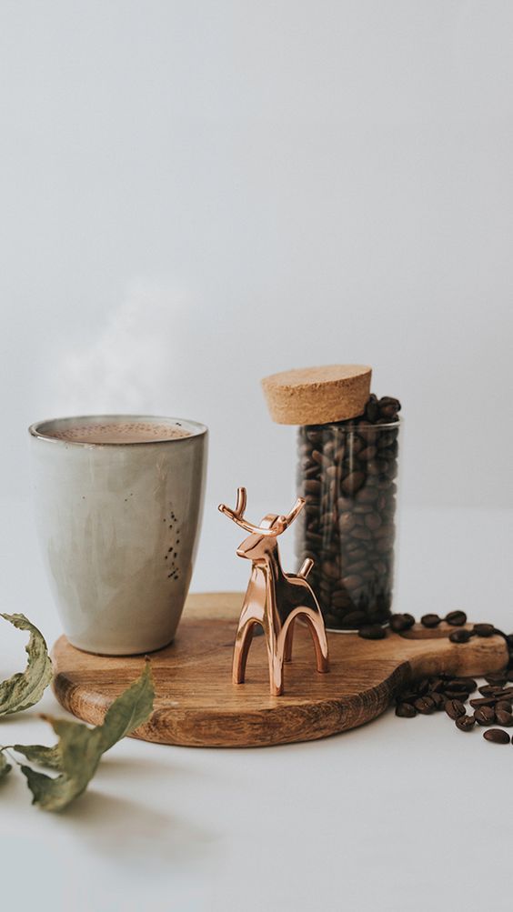 Café, plantas y libros 0