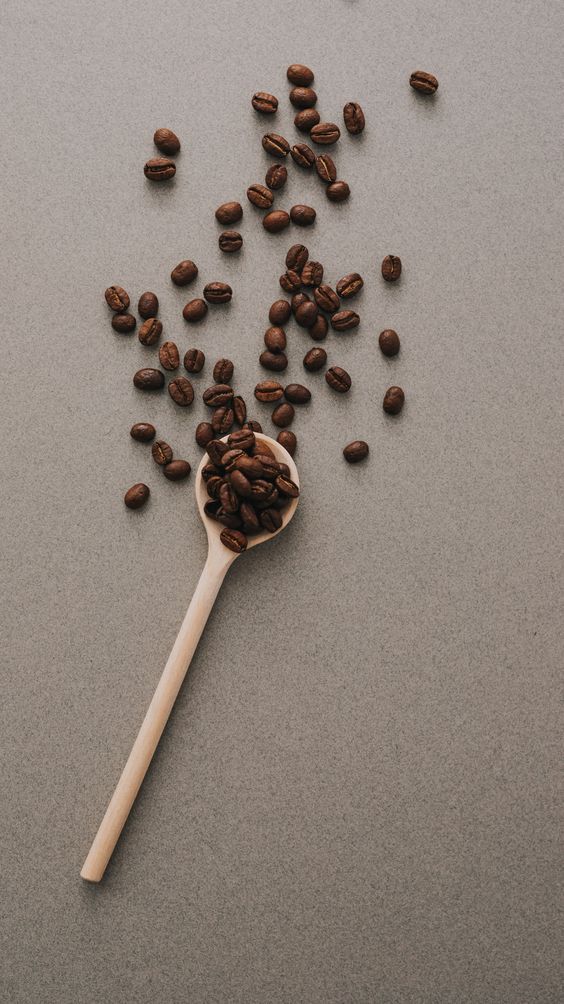 Café, plantas y libros 1