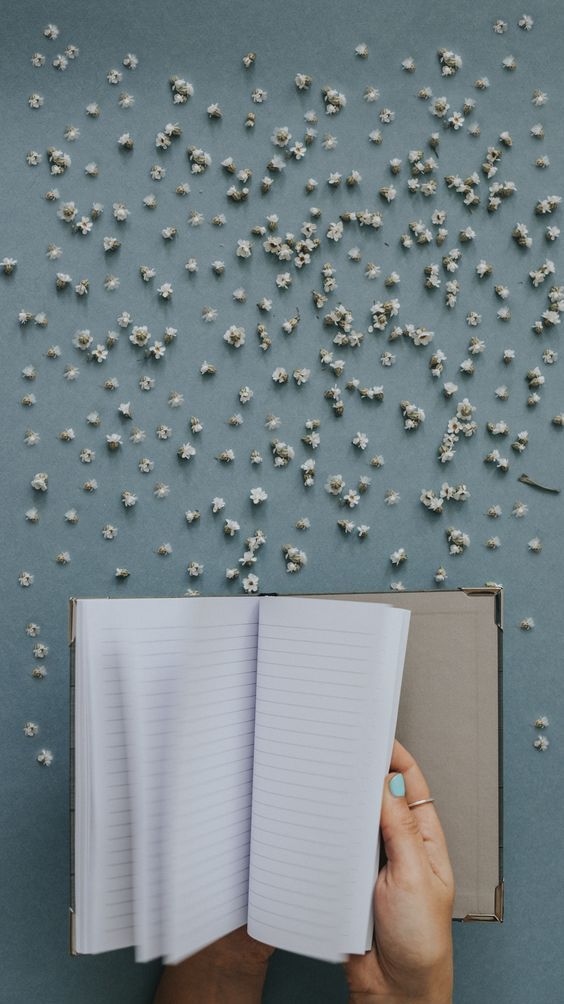 Café, plantas y libros 4