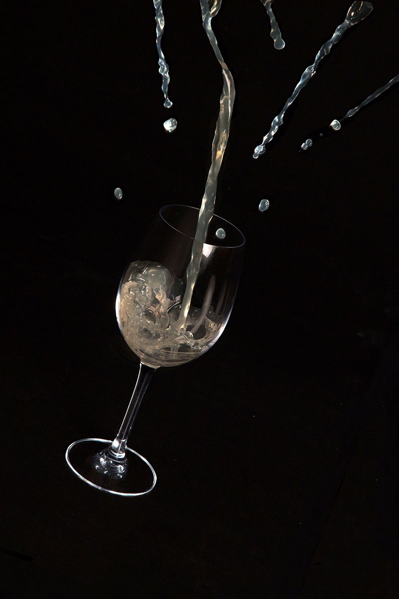 Navidad con Palta Lab 2