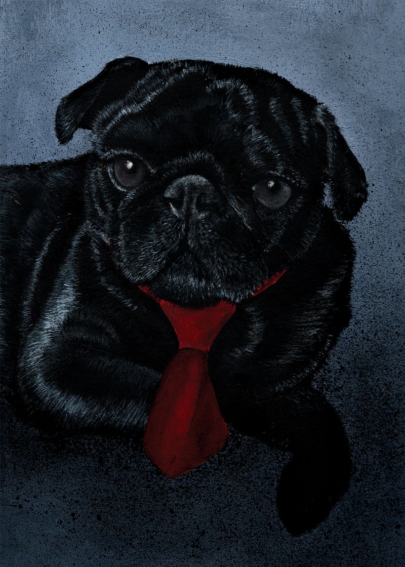 Retratos de mascotas 1