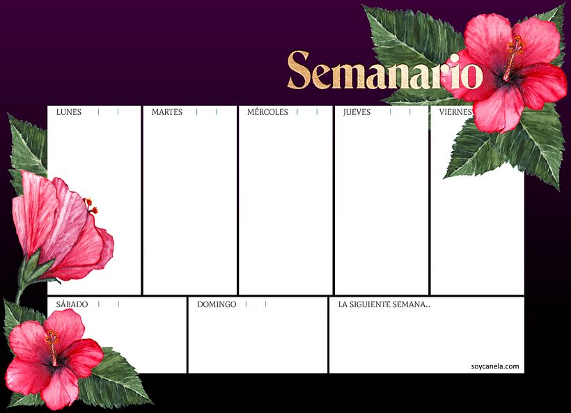 Mi Proyecto del curso: Ilustración botánica con acuarela. Set de papelería Hibisco. 0