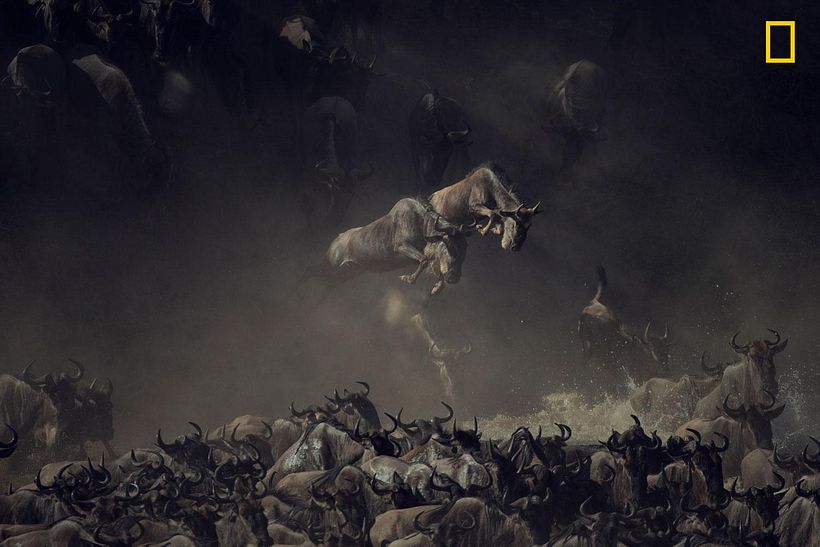 Estas son las mejores fotos de 2018 según National Geographic 10