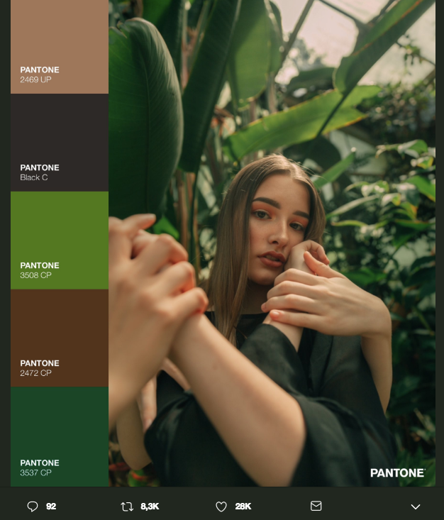 La belleza cromática del Pantone Challenge 4