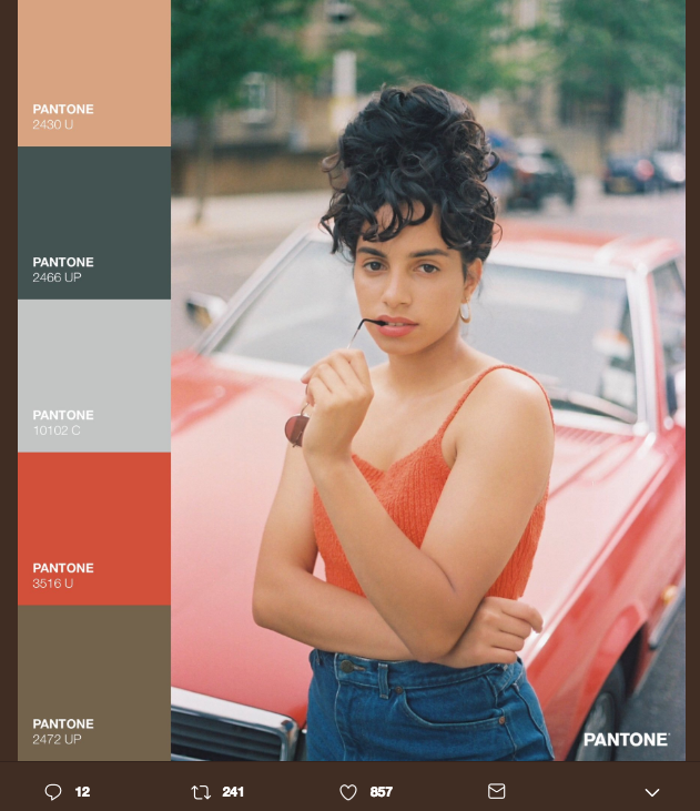 La belleza cromática del Pantone Challenge 6